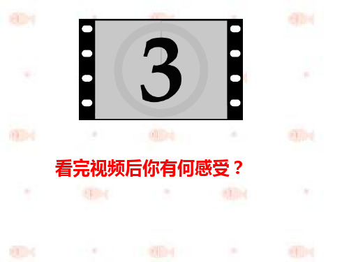 七年级道德与法治下册第四单元复习课件