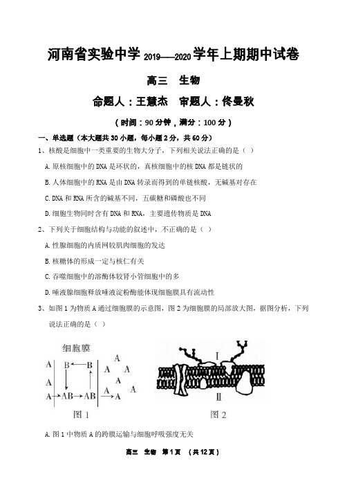 河南省实验中学2020届高三上学期期中考试+生物+Word版含答案