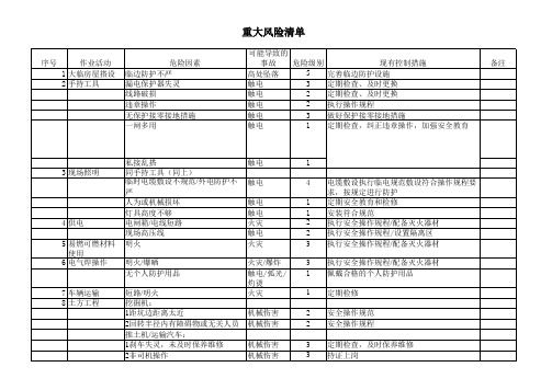 重大风险清单