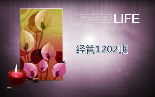 优秀班级评选精美PPT模板