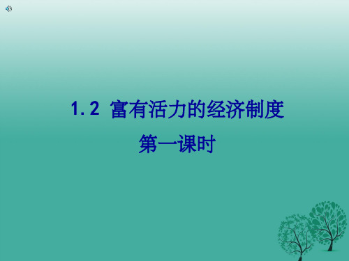 九年级政治全册 1_2_1 富有活力的经济制度 粤教版