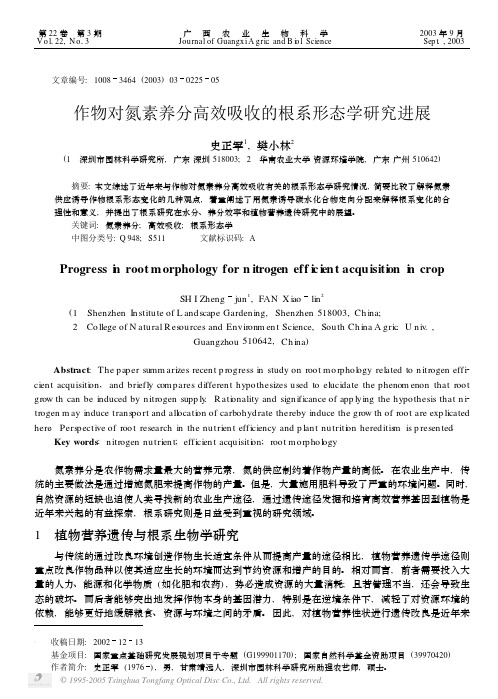 作物对氮素养分高效吸收的根系形态学研究进展