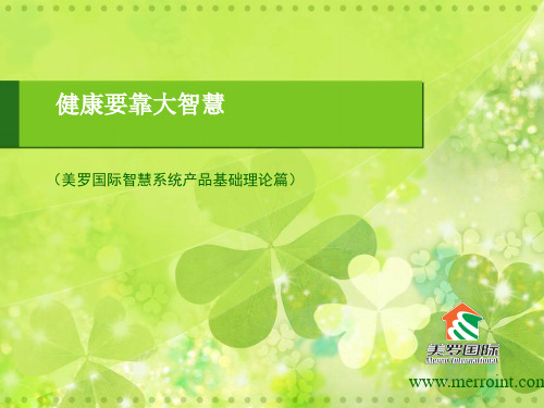 美罗国际产品介绍