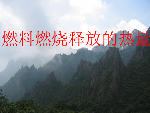 燃料燃烧释放的热量