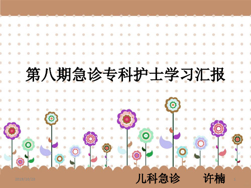 专科护士汇报PPT课件
