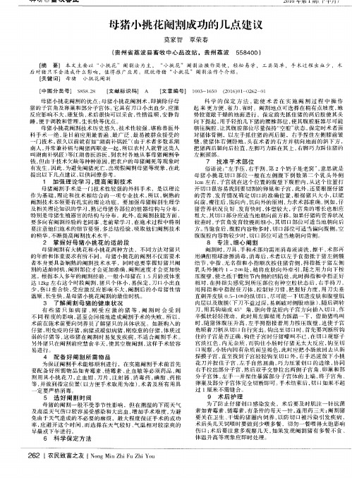 母猪小挑花阉割成功的几点建议