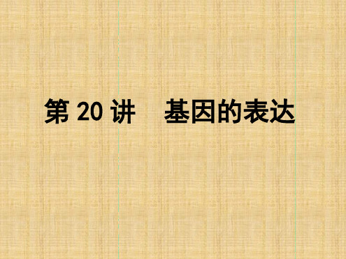 导与练高中生物一轮复习第20讲基因的表达名师优质课件新人教版必修2