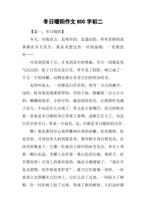 冬日暖阳作文800字初二