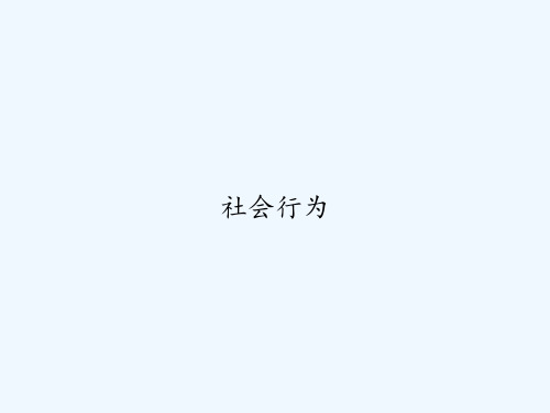 社会行为 PPT