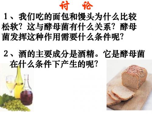 (2019版)高一生物探究酵母菌细胞呼吸的方式