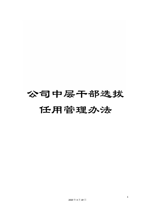 公司中层干部选拔任用管理办法
