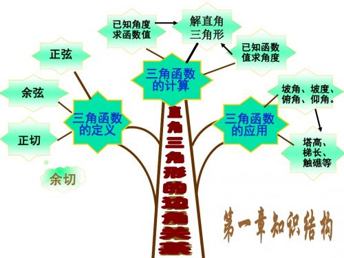 船有触礁的危险吗[下学期]--北师大版