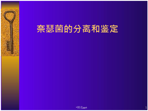 奈瑟菌的分离和鉴定