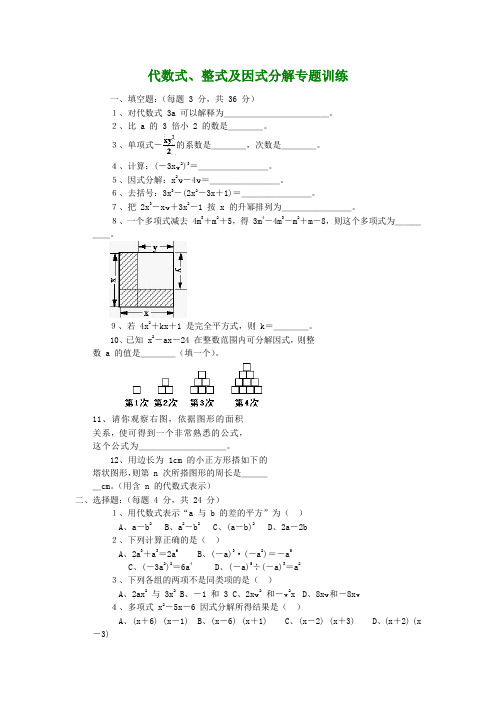 初中数学代数式专题训练【含答案】