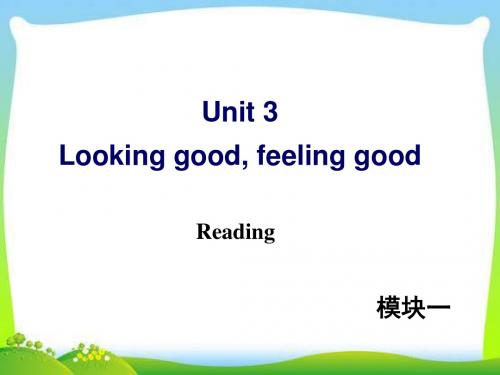 牛津译林版高中英语Module 1 Unit 3 Reading教学课件