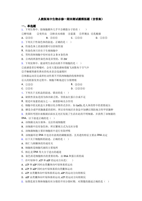 人教版高中生物必修一期末测试题模拟题(含答案)