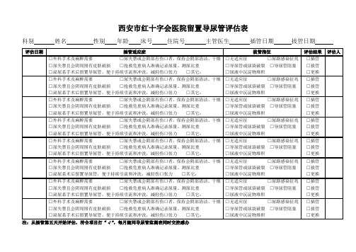 三导管评估表