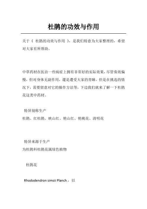 杜鹃的功效与作用