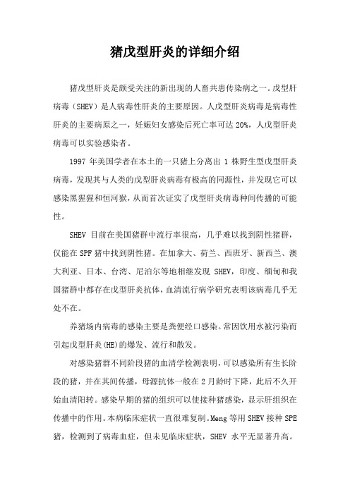 猪戊型肝炎介绍