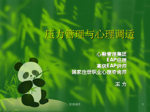 压力管理与心理调适王力国家注册职业心理咨询师