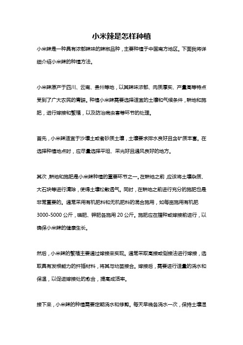 小米辣是怎样种植