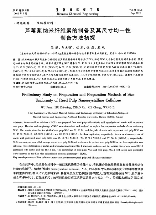 芦苇浆纳米纤维素的制备及其尺寸均一性制备方法初探