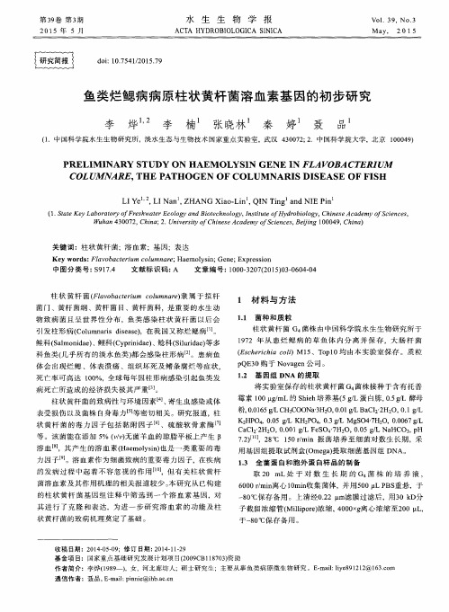 鱼类烂鳃病病原柱状黄杆菌溶血素基因的初步研究