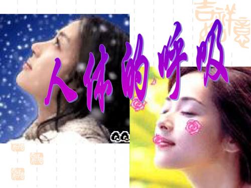 初中七年级(初一)生物人体的呼吸(第二课时)(38张ppt)