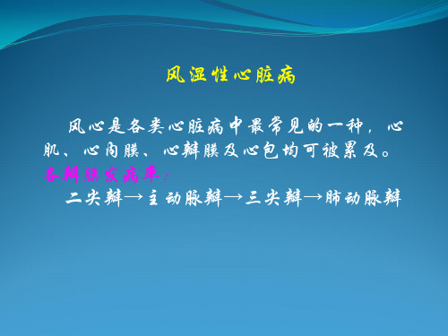 教学片8-循环系统2