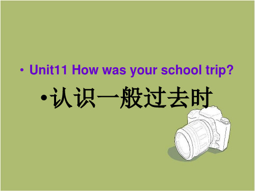 人教英语 七下 Unit11 一般过去时态专项讲解 课件