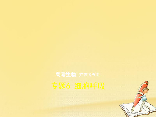 2018年高考生物一轮总复习专题测试课件：专题6 细胞呼吸 (共39张PPT)