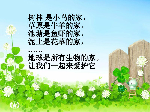 苏教版科学六年级下学期ppt课件6B41寻找生物的家园