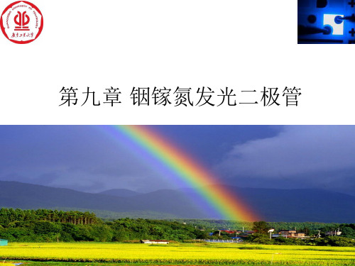 半导体照明技术：第九章 铟镓氮发光二极管