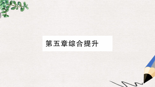 2019年七年级地理上册 第5章 世界的居民综合提升课件(新版)商务星球版