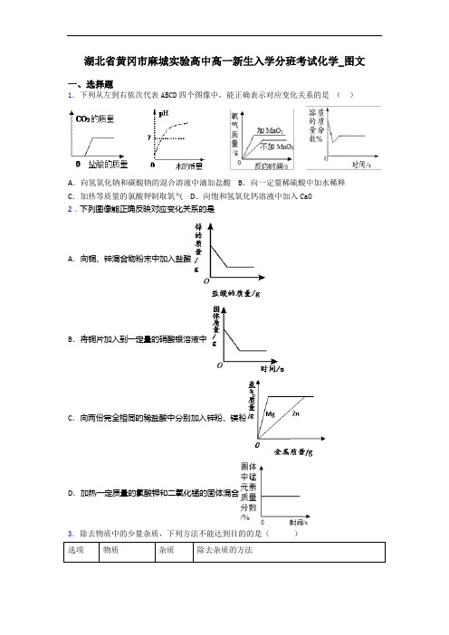 湖北省黄冈市麻城实验高中高一新生入学分班考试化学_图文