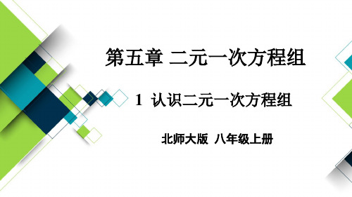 北师大版八年级数学上册课件：第五章 二元一次方程组