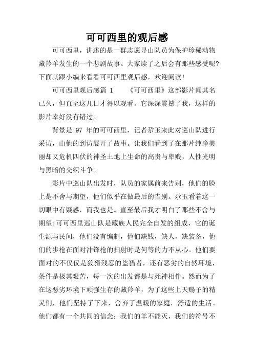 可可西里的观后感