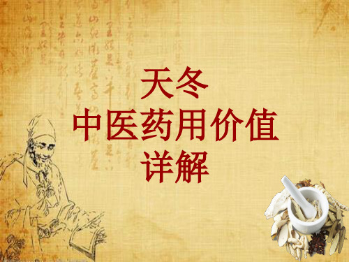 中药学_天冬_药材详解课件模板