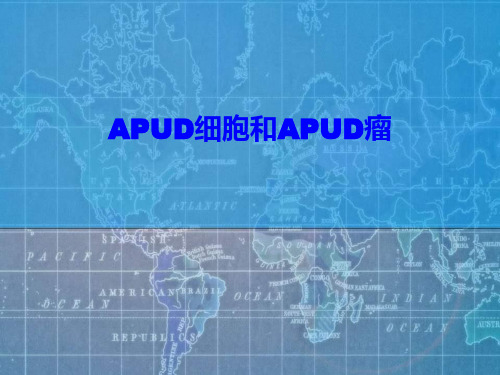 APUD细胞及APUD细胞瘤