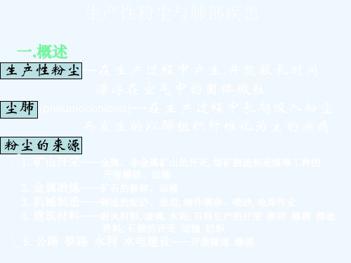 生产性粉尘与肺部疾患