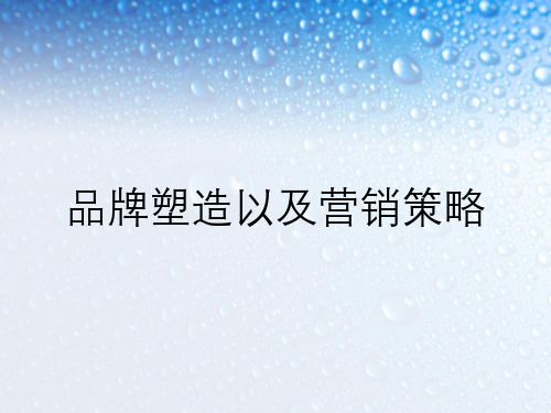 品牌塑造以及营销策略