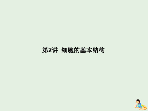 高考生物二轮复习专题一组成细胞的分子和结构2细胞的基本结构