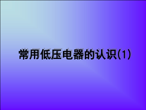 项目1 常用低压电器的认识(1)