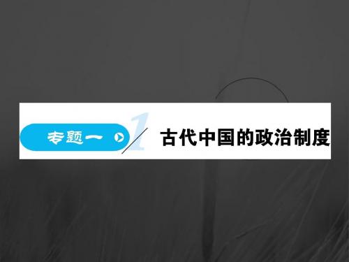2017-2018学年高中历史必修一人民版课件：第1课 中国