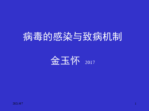 病毒的感染与致病机制PPT课件