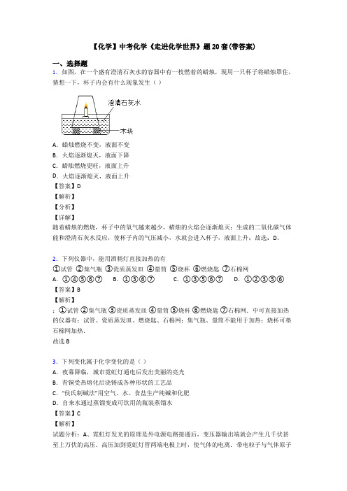 【化学】中考化学《走进化学世界》题20套(带答案)