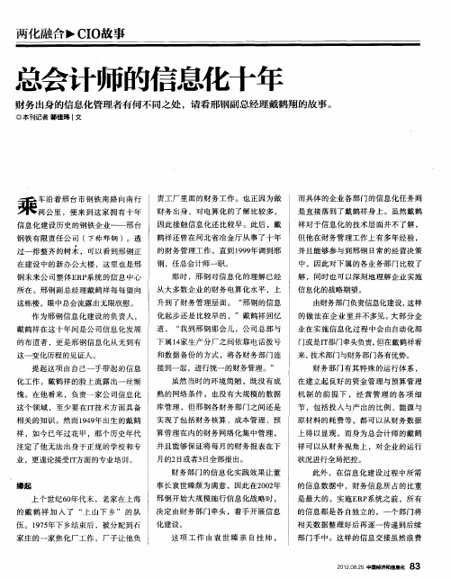 总会计师的信息化十年