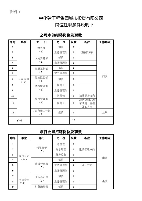 中化建工程集团城市投资有限公司岗位任职条件说明书