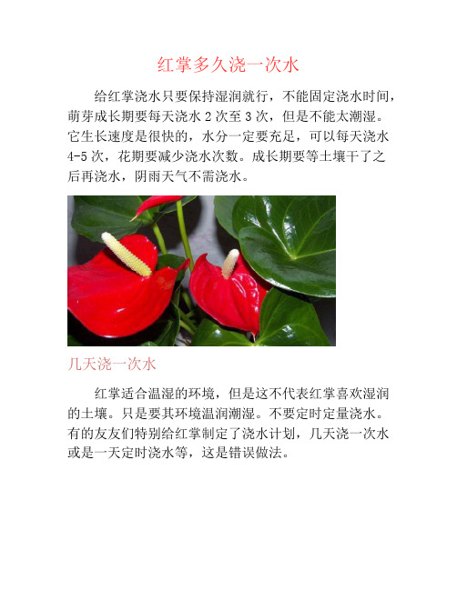 红掌多久浇一次水-养花技巧