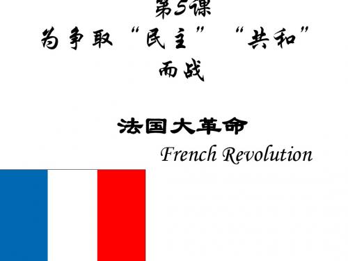 九年级历史为争取民主共和而战3